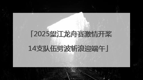 2025望江龙舟赛激情开桨 14支队伍劈波斩浪迎端午