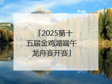 2025第十五届金鸡湖端午龙舟赛开赛