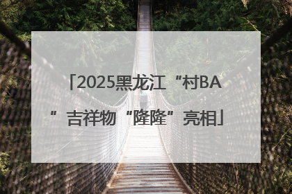 2025黑龙江“村BA”吉祥物“隆隆”亮相
