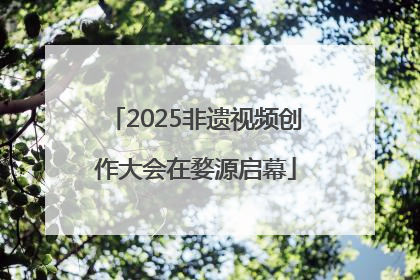 2025非遗视频创作大会在婺源启幕