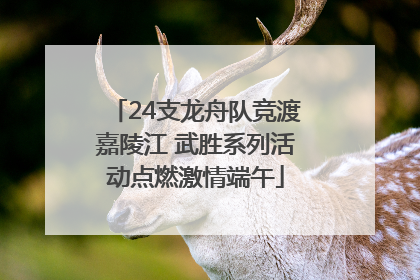 24支龙舟队竞渡嘉陵江 武胜系列活动点燃激情端午