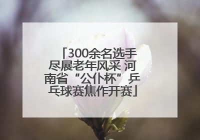 300余名选手尽展老年风采 河南省“公仆杯”乒乓球赛焦作开赛