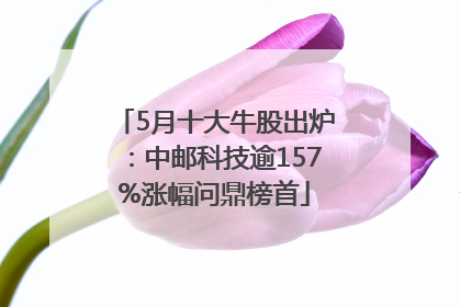 5月十大牛股出炉：中邮科技逾157%涨幅问鼎榜首
