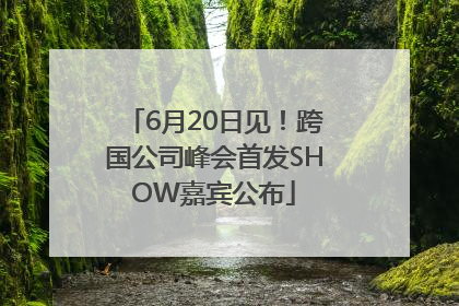 6月20日见！跨国公司峰会首发SHOW嘉宾公布