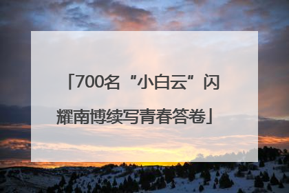 700名“小白云”闪耀南博续写青春答卷