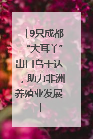 9只成都“大耳羊”出口乌干达，助力非洲养殖业发展