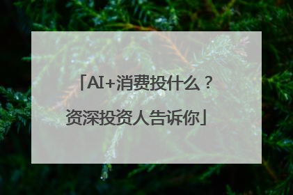 AI+消费投什么？资深投资人告诉你