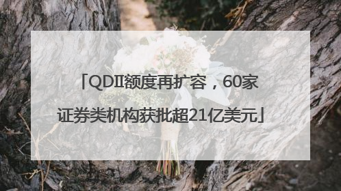 QDII额度再扩容，60家证券类机构获批超21亿美元